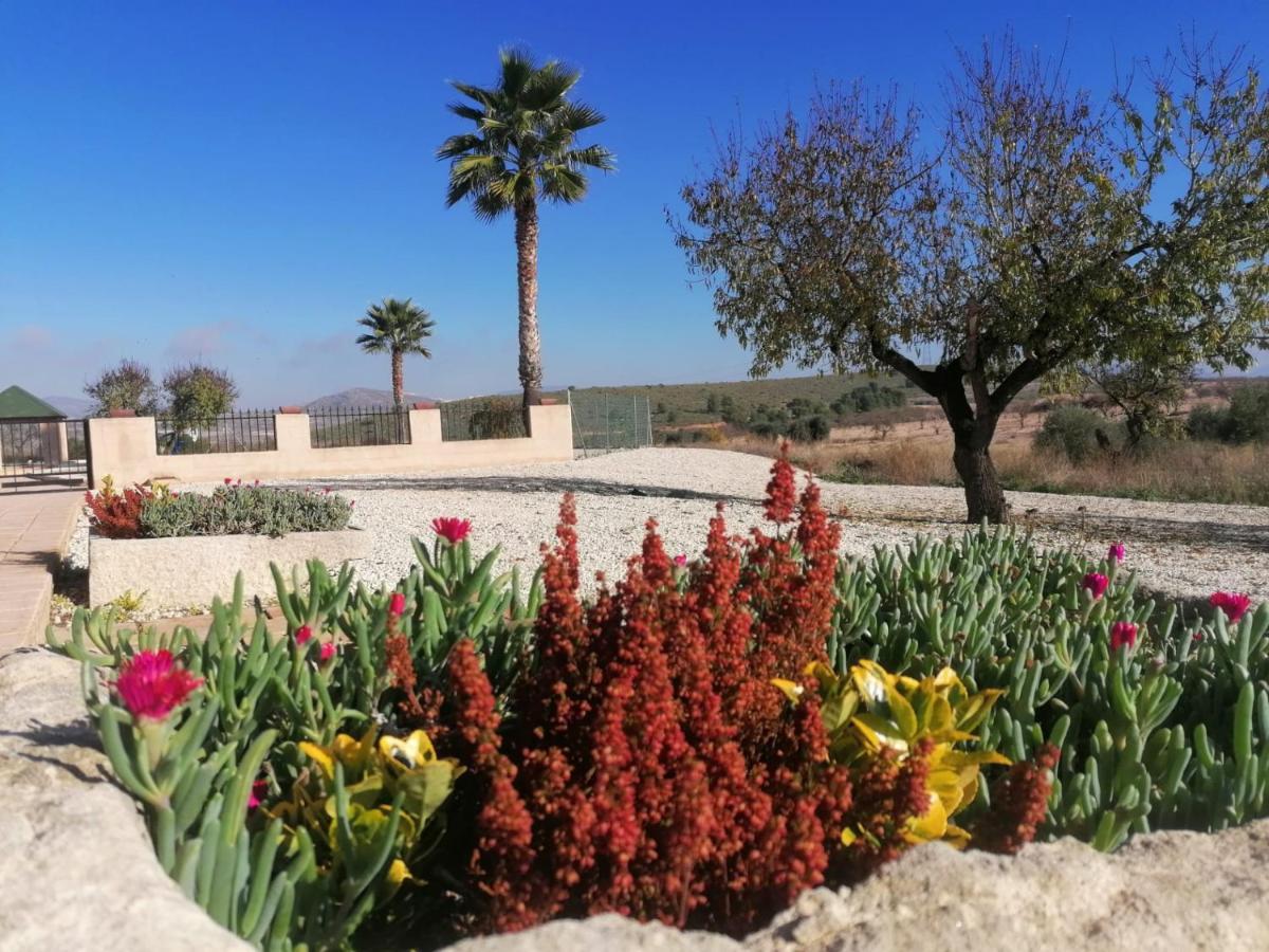 Finca Guillermo Murcia Canada del Trigo Ngoại thất bức ảnh