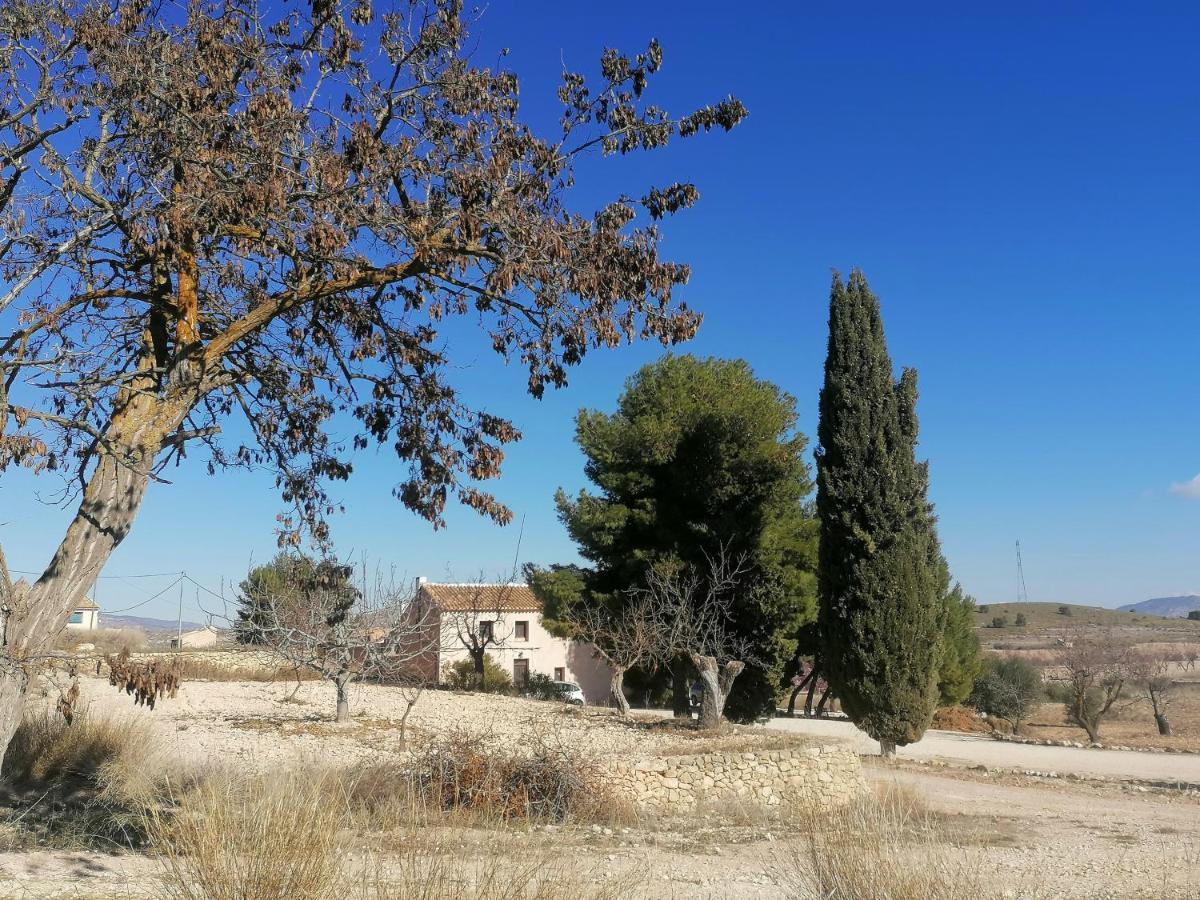 Finca Guillermo Murcia Canada del Trigo Ngoại thất bức ảnh